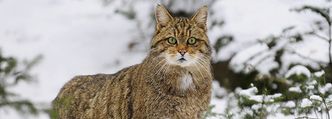 Foto von Xaver Klausner/fotolia.com
